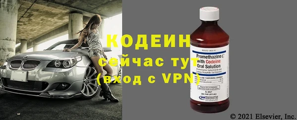 PSILOCYBIN Гвардейск