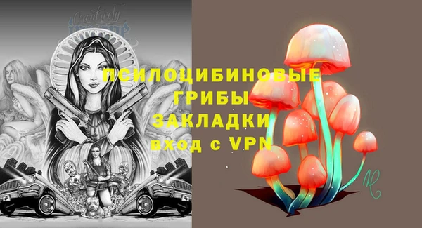 Альфа ПВП Осинники