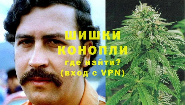 Альфа ПВП Осинники