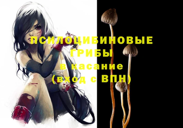 крисы Пересвет