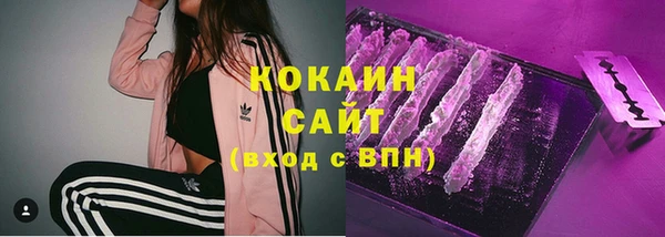 Альфа ПВП Осинники