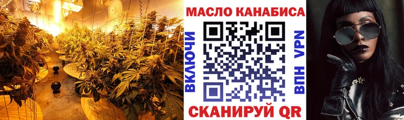 цены наркотик  МЕГА   ТГК жижа  дарк нет формула  Петровск-Забайкальский 