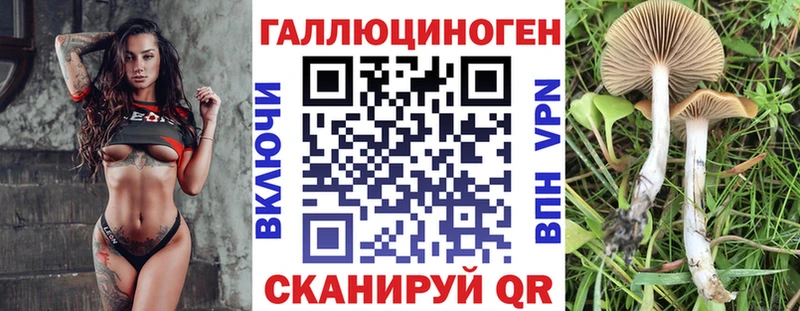 Галлюциногенные грибы ЛСД  Петровск-Забайкальский 